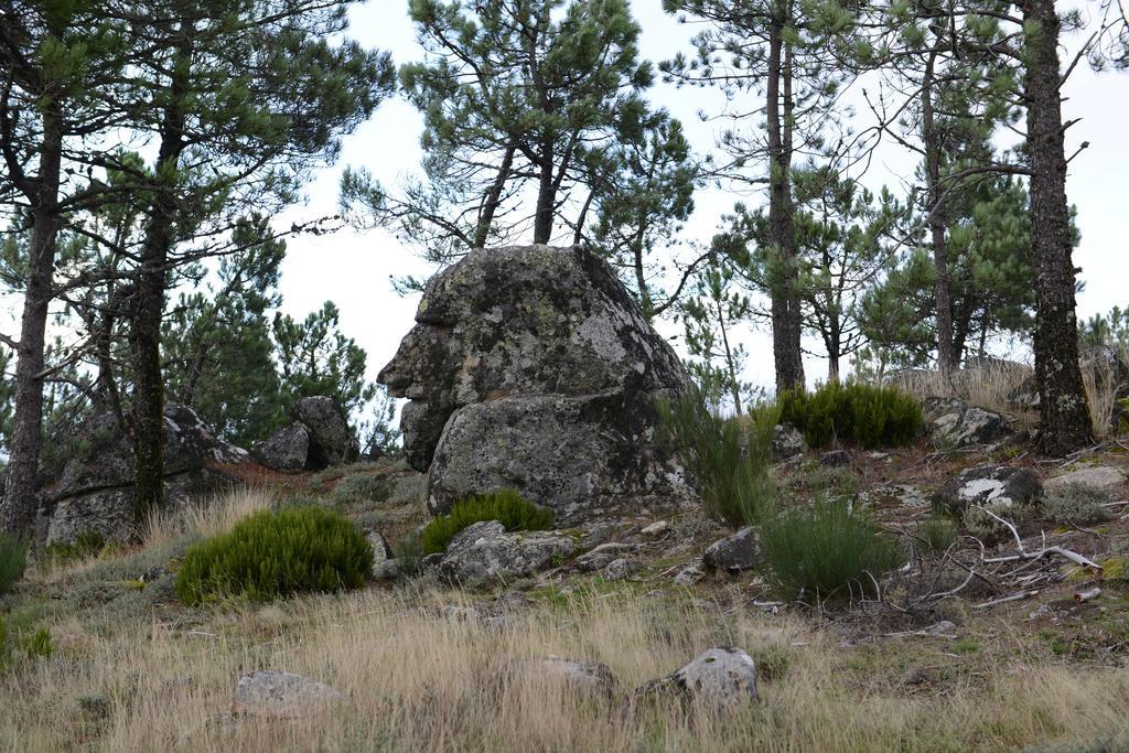 غويفيا Terra Mista Alojamento Local المظهر الخارجي الصورة